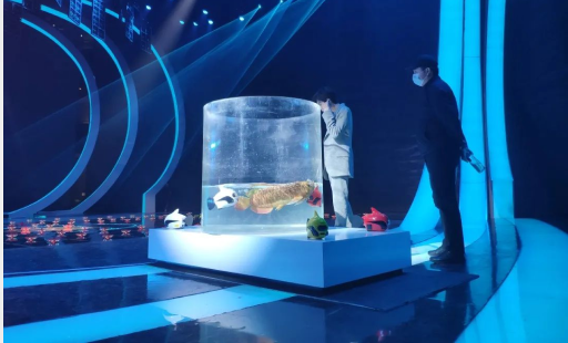 以青春之名，書寫時代華章